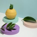 Photo of Plants on Top of Round Objects