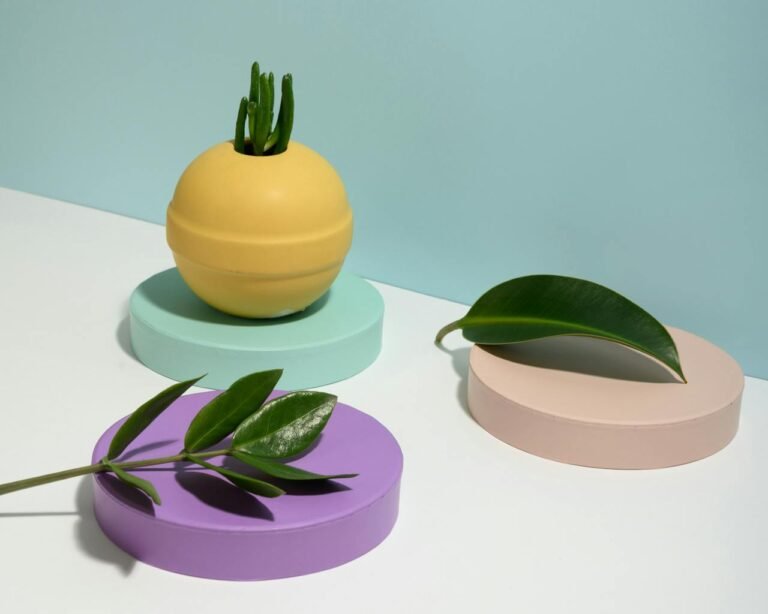 Photo of Plants on Top of Round Objects